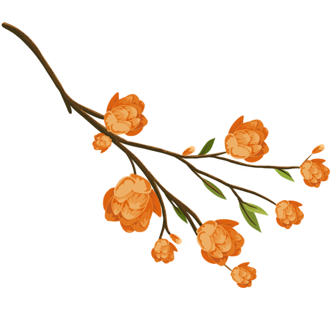 手绘橙色花枝花卉花朵元素