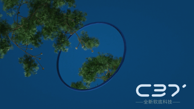 C37鞋底科技montion