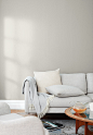 Clare | Interior Paint | Windy City
