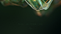 Behance 上的 This — is your...