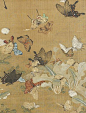 Unknown (Chinese), Butterflies, 18th -19th century: 