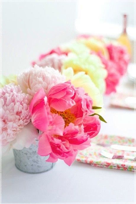 spring pink flowers#...