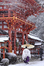 上贺茂神社，京都，日本的雪