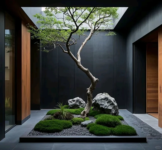 别墅天井植物造景 - 小红书-花瓣网