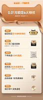 柏迪卓旗舰店的10元无门槛店铺优惠券10/31-11/11-tmall.com天猫