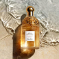 Guerlain (@guerlain)的ins主页 · Tofo · 好用的ins浏览器 (Lookins.me)