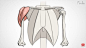 Pin page