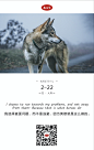 兆元堂-早安0222