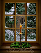 149_christmas-windows-christmas-candles