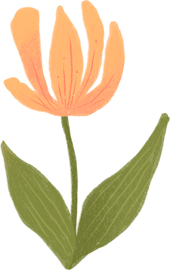 花朵手绘插画