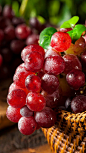 葡萄是世界最古老的果树树种之一，可生食、制葡萄干或酿酒，是秋天首选时令水果，酸甜可口营养价值高。