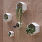 2193-wall-planter-20.jpg - EXAMPLE.PL