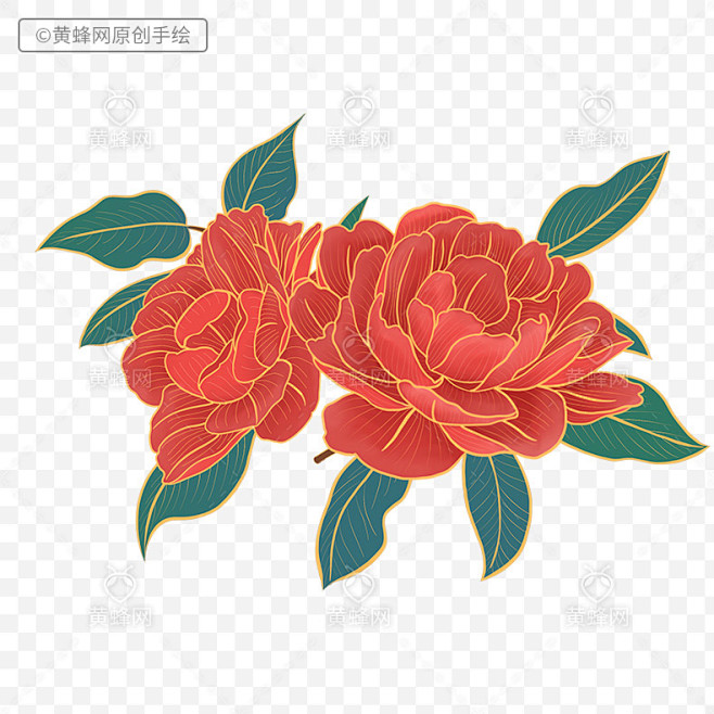 牡丹花,手绘牡丹花,牡丹花手绘,牡丹,手...
