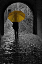 Yellow Umbrella. What is the design principle evident in this photograph? Color anamoly—the yellow. Keep it in your designer-bag-of-tricks. Prof. Zeller: