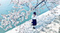 2ad53d5aff7e88190d33bc58add3e16e0c8e313e.png (960×540)