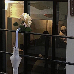 富贵花开1采集到ins风