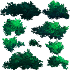 Emmanuel★quot;采集到植物