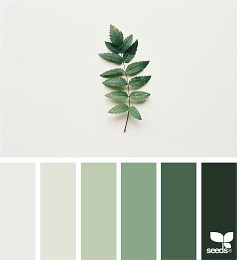 Nature Tones | Desig...