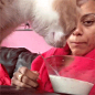 猫的小爪