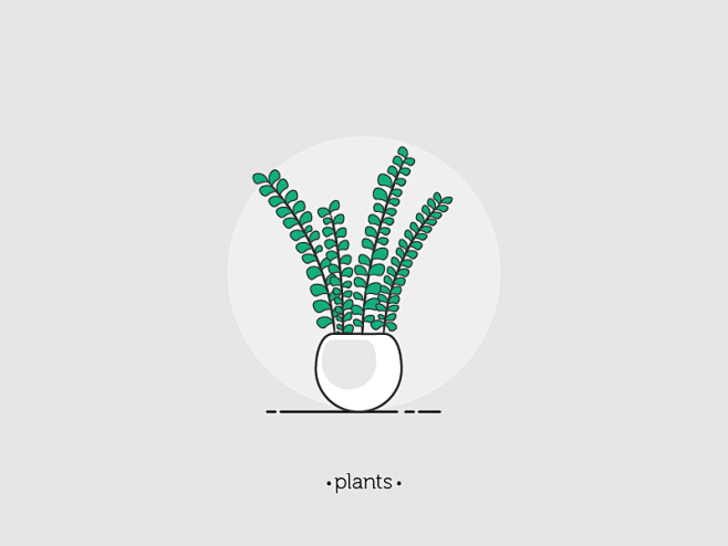 Plant 02