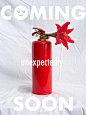   
by @Cabinet工作室
COMING (unexpectly) SOON. ​​​​