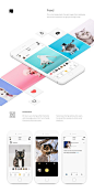 Behance上适用于iOS的Petcube：