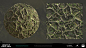 Avatar: Frontiers of Pandora - The Upper Plains Substance Designer Materials