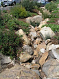 Mt Helix streambed one year later