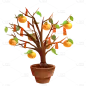 传统节日主题-金桔