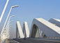 谢赫•扎伊德大桥——扎哈建筑 #采集大赛#