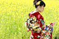 着物を着た女性キャノーラフィールド - kimono ストックフォトと画像