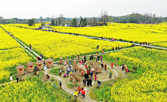 瓶瓶1111采集到乡村田园景观