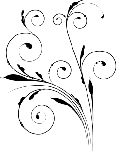 Jxni采集到杂PNG