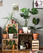Turn a large hallway or unused area of a room into an organized outdoor oasis.   If you love nature and plants and hate clutter, this is great inspiration to bring the outdoors inside and keep it tidy and ...hint hint...easy to water all in one convenient