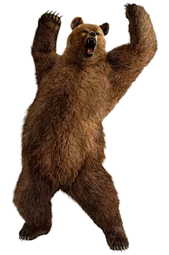 10410