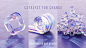 catalyst for change :: Behance