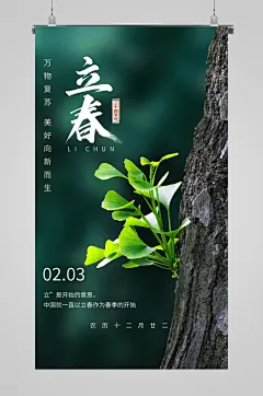 绿色春季树木萌芽立春海报