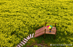 天天晴晴0采集到LANDSCAPE—乡村景观