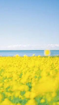 小清新自然风景图片高清iphoneX手机壁纸