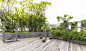 新加坡折线商业住宅景观 The Tennery / ONG&ONG – mooool木藕设计网