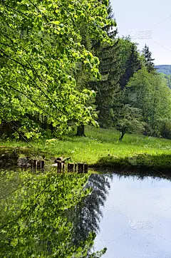 鱼塘在Rhön