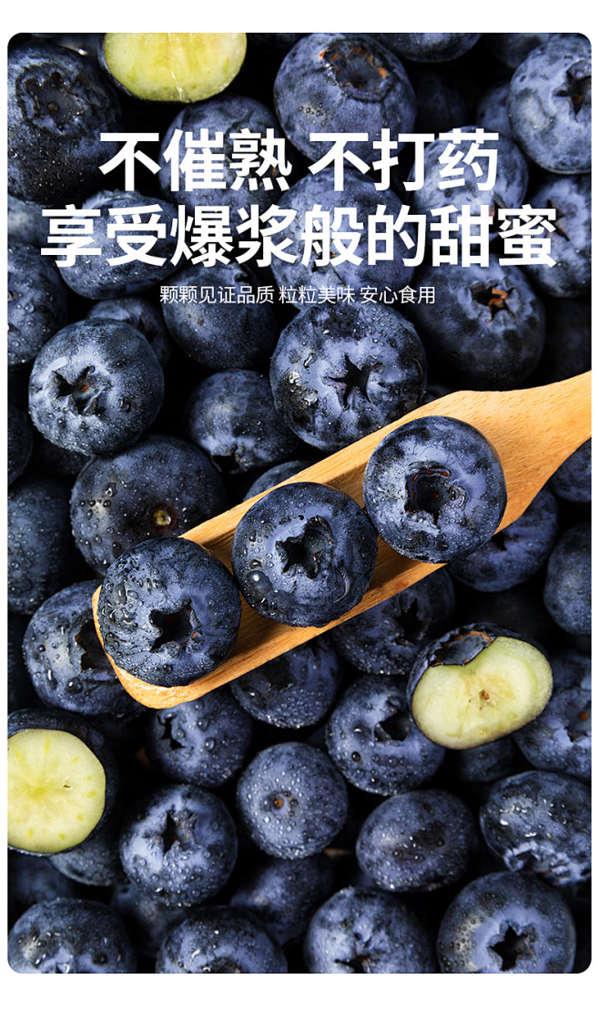 蓝莓详情页_03