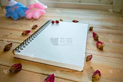 留白,空白的,木制,笔记本,玫瑰,贺卡,水平画幅,墙,无人,书页