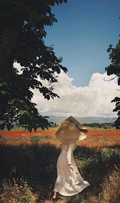 初心呀~采集到美图