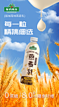 燕麦海报