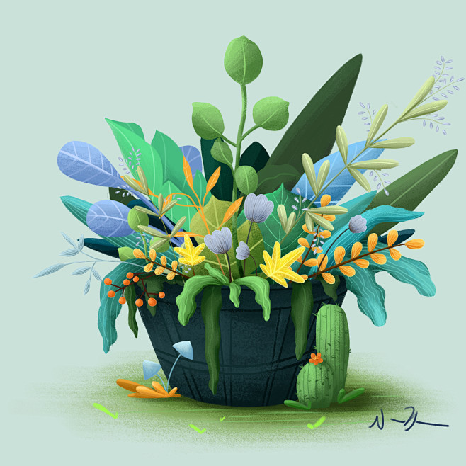 植物...作业