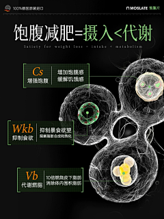 盘子11采集到精华 / 水珠 / 细胞