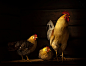 1X - Intensity !!! by Alfred Forns