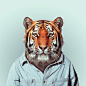 西班牙摄影师Yago Partal:穿衣服的动物肖像 《动物园肖像》（Zoo Portraits）是巴塞罗那摄影师Yago Partal创作的一个趣味摄影集。在这组照片中，他给各种可爱的动物穿上人类服装，并让它们像人一样“出现”在镜头前，留下一张标准肖像照。这些照片在展示摄影师幽默感的同时，也表现了他的个人风格和品位。从穿着冬季毛衣的黑熊，到穿着夏威夷衬衫的猪。这些动物所穿的服装都尽量能揭示它们的内心特征。