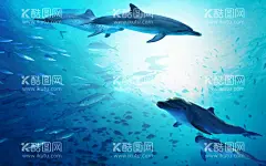 海豚  - 源文件下载【酷图网】海底世界,海底世界背景,梦幻海洋,梦幻海底世界,高清,超大,海洋世界,海底摄影,奇幻海底世界,唯美海底世界,海洋生物,鲨鱼,海豚,海底珊瑚,壁纸,大型高清海底,3D海底世界,海洋素材,海底世界壁画,海底世界壁纸,3D全景壁画,全景壁纸,立体画,海底生物,海洋节,